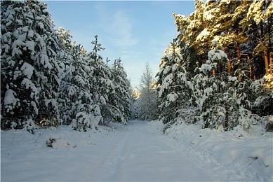动视暴雪为《使命召唤》推出《暗黑4》联动内容